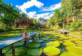 Ishing Water Lily Temple Tour
